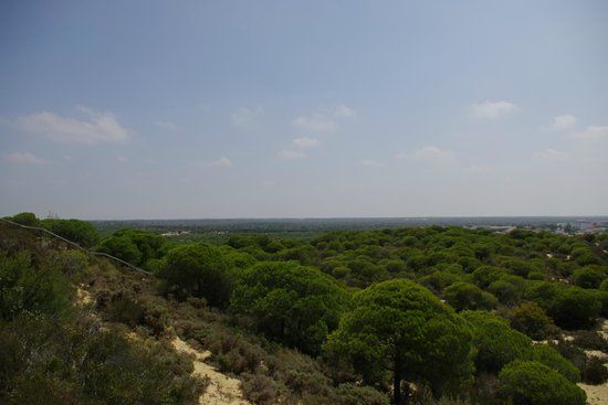 Museo Mundo Marino Matalascañas